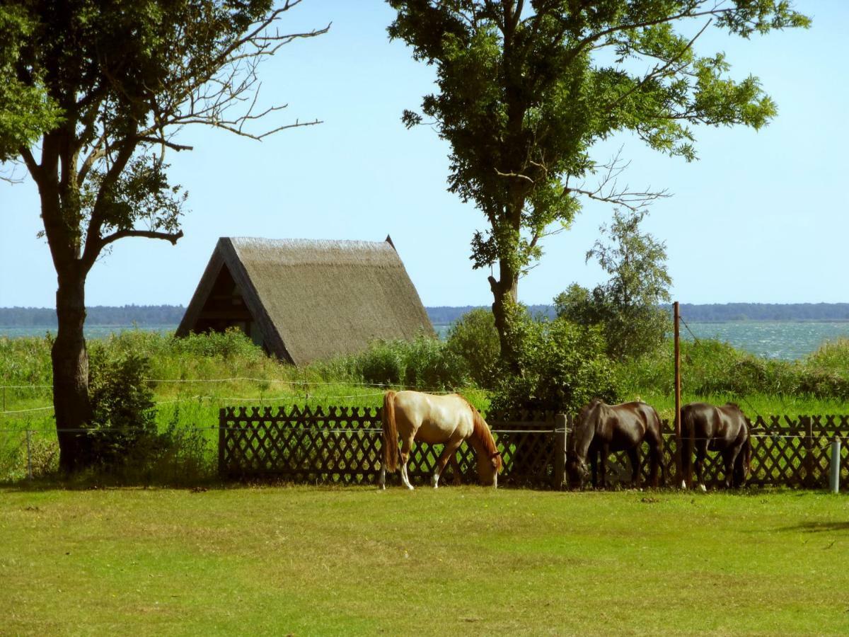 Steinbock-Ferienwohnungen โคลพินซี ภายนอก รูปภาพ
